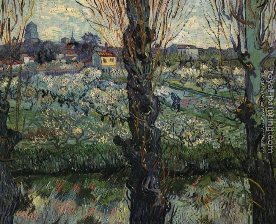 Vincent Van Gogh : Orchard in Bloom with View of Arles II